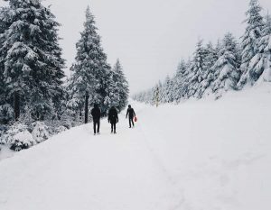 colonie de vacances ski