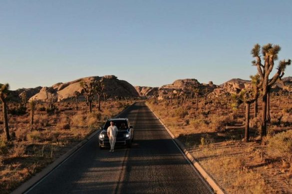 Un homme appuyé sur son véhicule au milieu d'une route désertique bordée de Joshua trees, naviguant grâce aux applications mobiles.